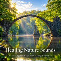 Healing Nature Sounds | Nervous System Regulation & Deep Relaxation by Point of Attraction Sound