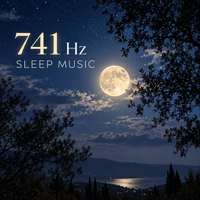 741 Hz Sleep Music | Release Negative Energy, Deep Healing & Restful Sleep by Point of Attraction Sound