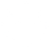 The Fan