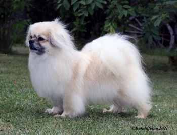 Sire of Fosse
