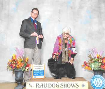 Ch Runningbrook Ezra's Legacy " Czar"
