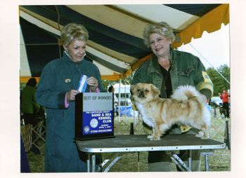 Ch Wassong's Flying Dutchess " Fergie"
