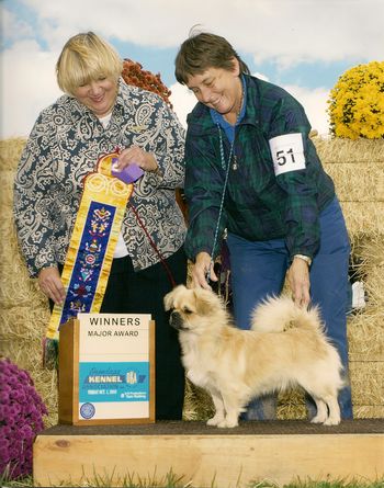 Tashi with Aunt Kitty , Tashi's sire was Kitty Burkes Jumpin Jack Flash
