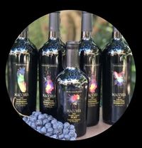 Macchia Winery