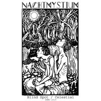 Blind Spot / Celestial  by Nachtmystium