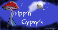 Tripp'n Gypsy's play Bailey's Corner Store