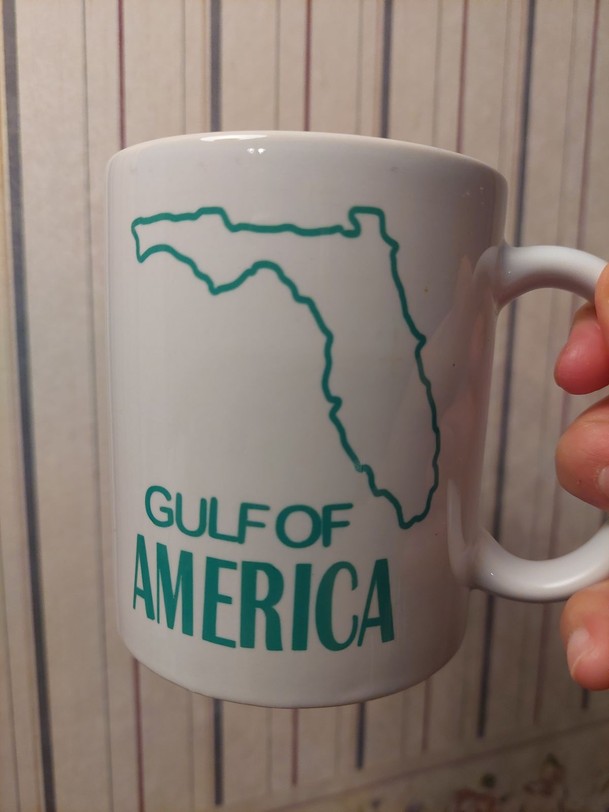 Florida Gulf Mug