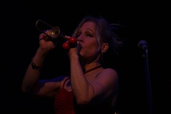 Red Lion Folk Club, B'ham. Photo: Geoff Hawkesworth
