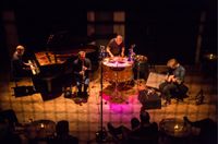 Dans les arbres (Concert)