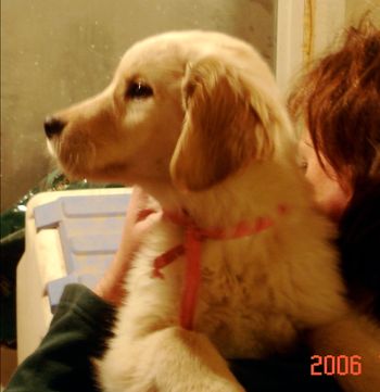 Pup
