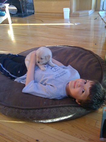Ethan & Pippin
