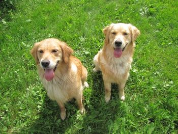 Peaches and Misty
