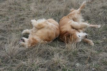 Liberty and Shelby ( daughter and mother )

