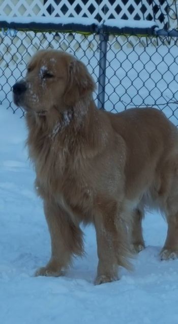 Arttu
