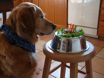 Lexus at her 13th birthday!
