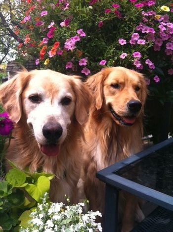 Dakota and Andi

