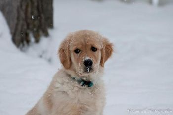 Sadie
