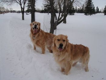 Wilson and Rocky
