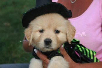 Halloween dress up!
