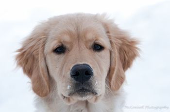 Sadie Mae
