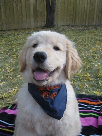 Cooper
