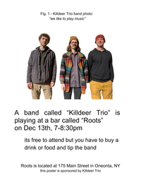 Killdeer Trio at Roots