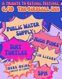 High Pines with Public Water Supply, Dirt Turtles, Tin Lizard, and Herb Heins 