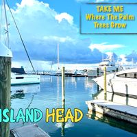 Take Me (Where The Palm Trees Grow) by Island Head