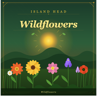 Wildflowers by Island Head