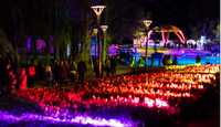 Night Fest - Floriade 2024