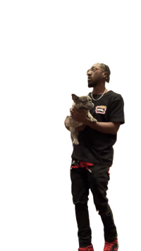 MajestyPOV Black History 