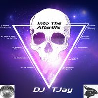 Into The Afterlife - CD