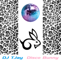 Disco Bunny - CD