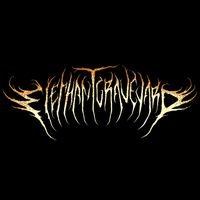 Covenant by Elephant Graveyard