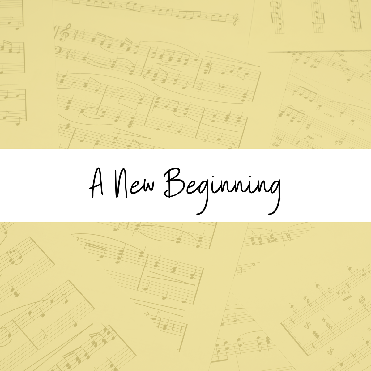 A New Beginning
