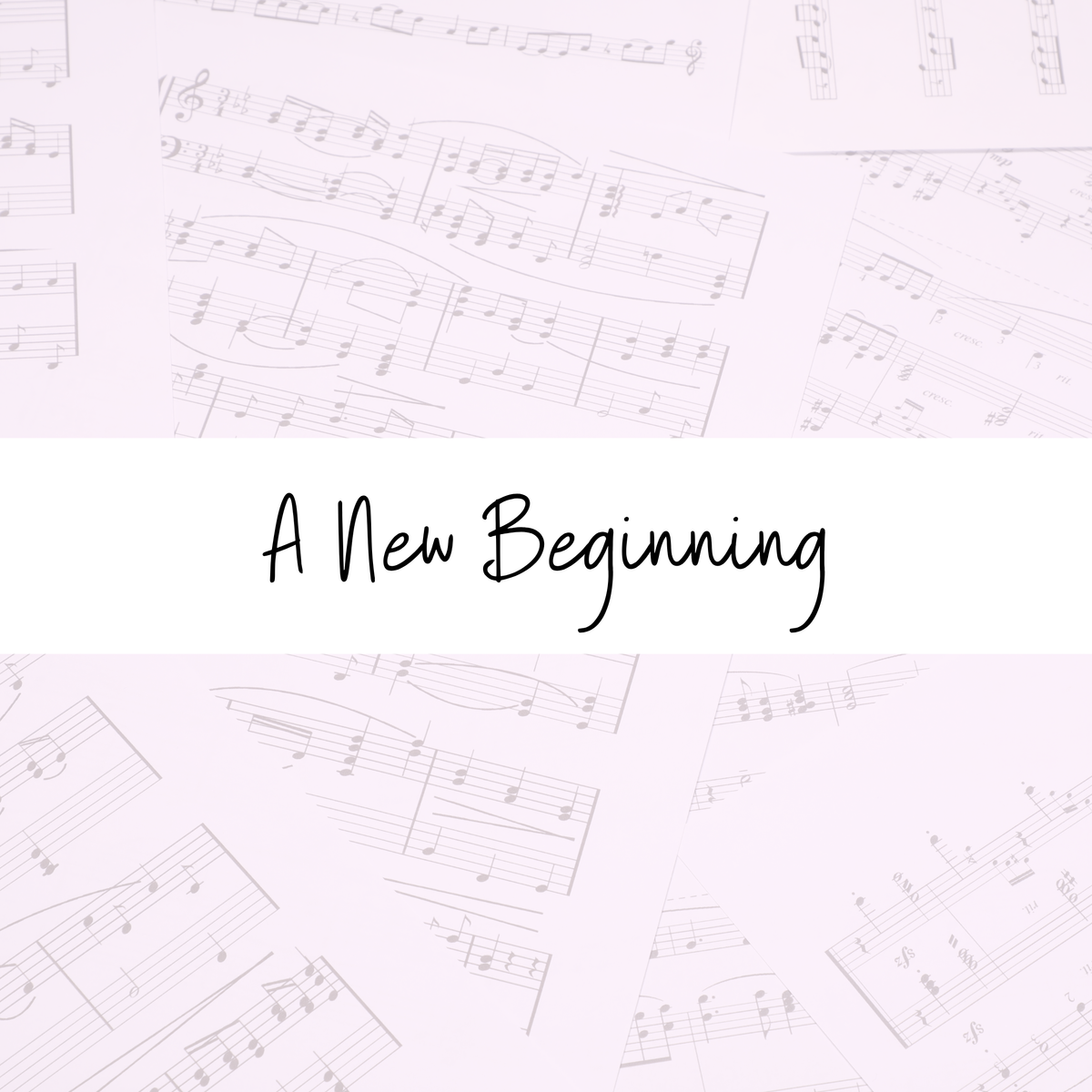 A New Beginning