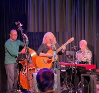 Live at The Artichoke: Anne Weiss