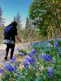 Prayer for the Living World: Music with Anna Fritz in the Garden  [reservation required]
