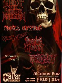 Nova Sutro Live at the Cellar Stage Reno, NV