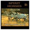 "Spirit Horses ~ Chief Joseph" 2 Sided Print T-Shirt 
