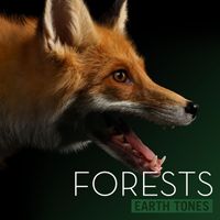 Earth Tones: Forests by David Robson