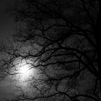 Unsettling Atmospheres by David Robson