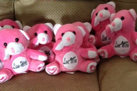 Live Wire Pinky Bear