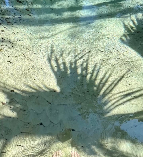 Rainbow River Kayaking