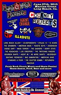 Punk Rock Picnic
