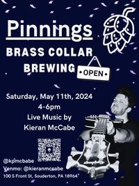 Pinnings (Kieran Solo Show) 
