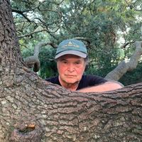 Get Back To The Garden by Denny Carleton