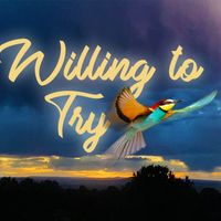 Willing to Try by Mark Chester/Russ Wheelock/Quickchester