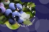 Alyeska Blueberry Festival