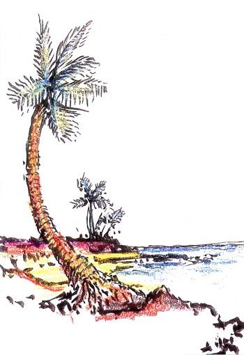 HAWAIIAN PALMS